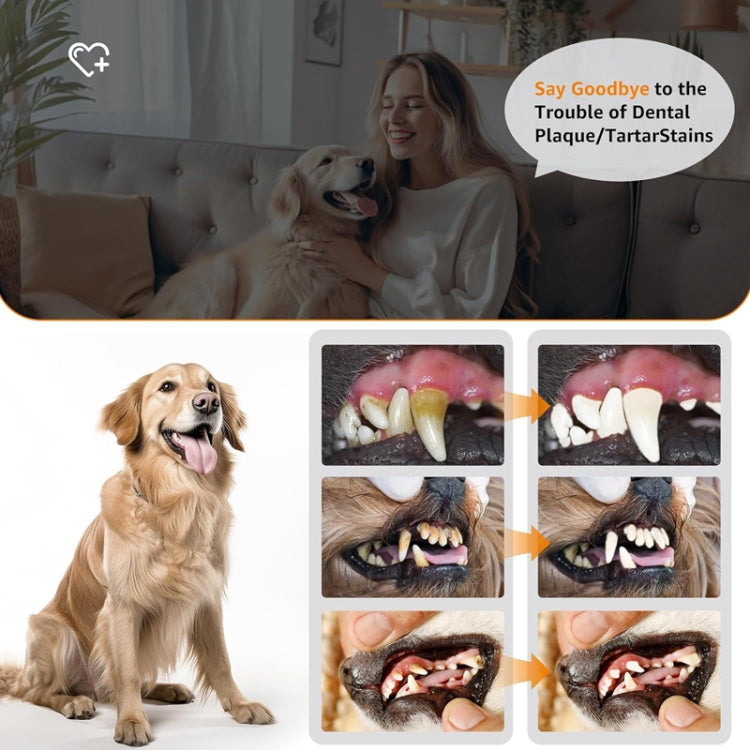 Pet Ultrasonic Teeth Cleaner Dog Electric Teeth Cleaning Tool Home Dentistry Tartar Remover