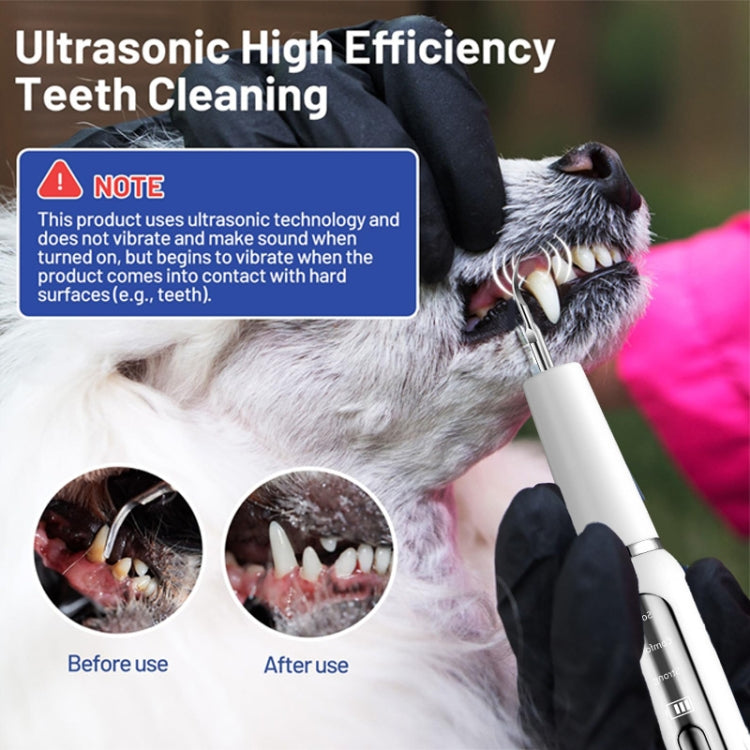 Pet Ultrasonic Teeth Cleaner Dog Electric Teeth Cleaning Tool Home Dentistry Tartar Remover