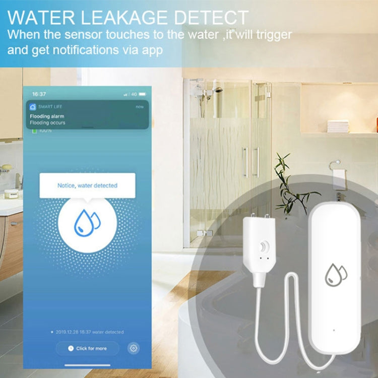 Water Leak Alarm Remote Monitoring Flood Leak Detector
