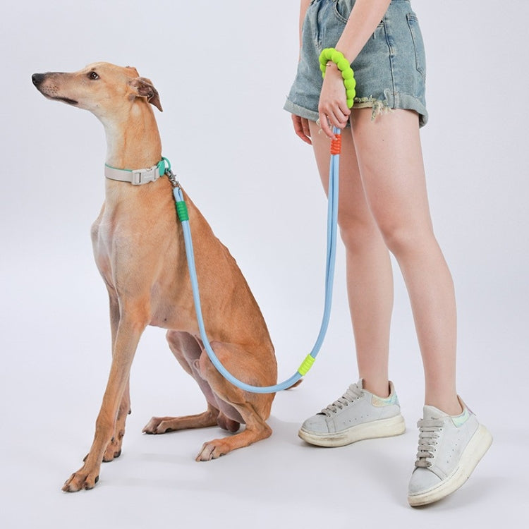 Explosion-Proof  Two-Stage Dog Leash With Foam Handle For Medium And Large Dogs