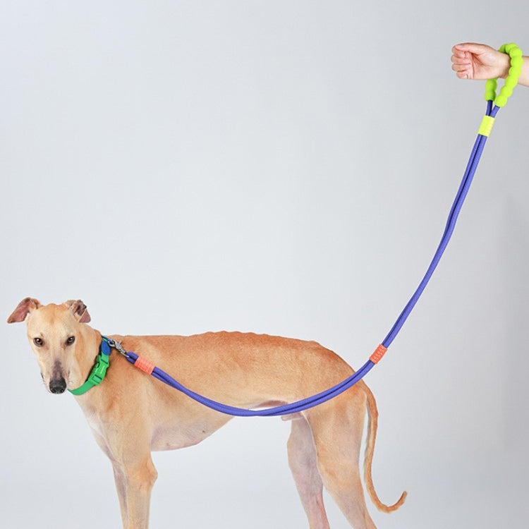 Explosion-Proof  Two-Stage Dog Leash With Foam Handle For Medium And Large Dogs