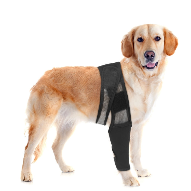 Dog Leg Fracture Protection Injury Support Belt