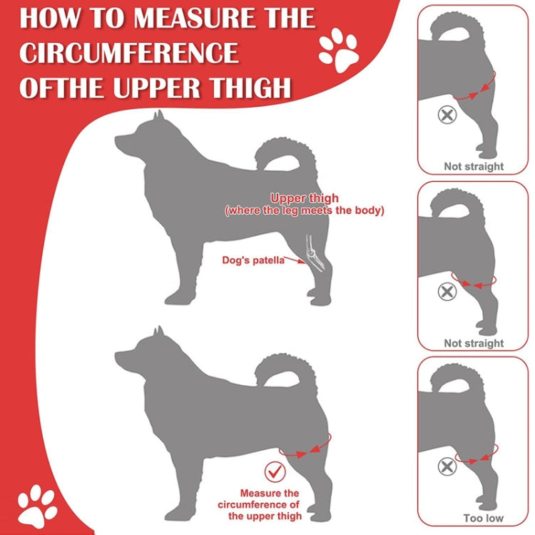 Dog Leg Fracture Protection Injury Support Belt