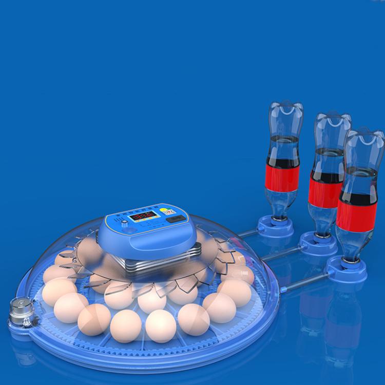 Automatic Incubator Supports 12V And 220V Power Supply, EU Plug