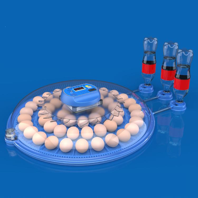 Automatic Incubator Supports 12V And 220V Power Supply, EU Plug