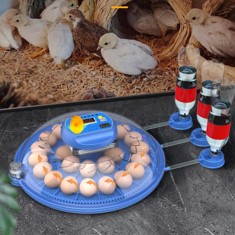 Automatic Incubator Supports 12V And 220V Power Supply, EU Plug