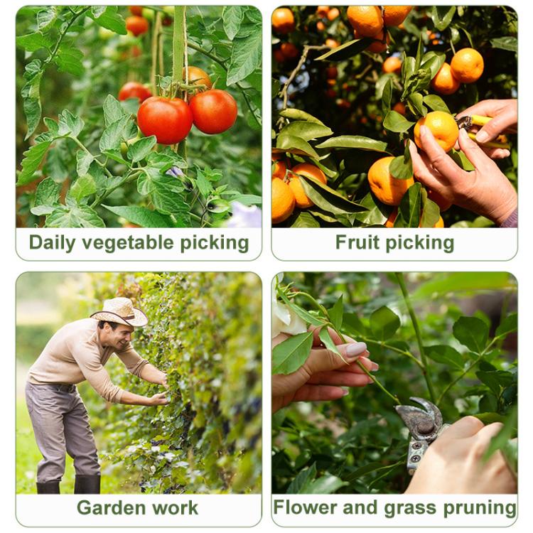 4pcs /Pack Melon and Fruit Picking Small Guillotine Grape Pinching Thumb Knife Vegetable Picker