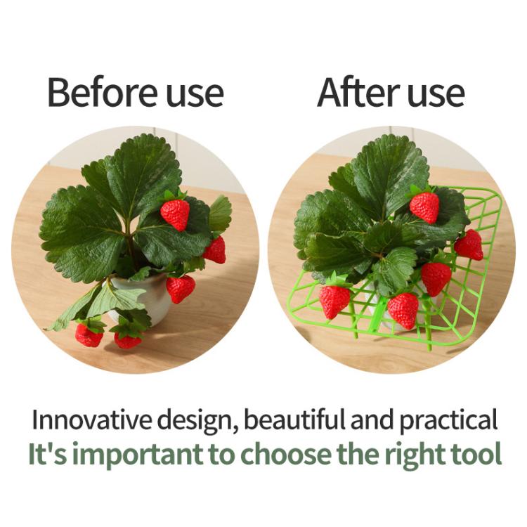 Strawberry Cultivation Anti-Rotting Planting Stand Plant Climbing Rack