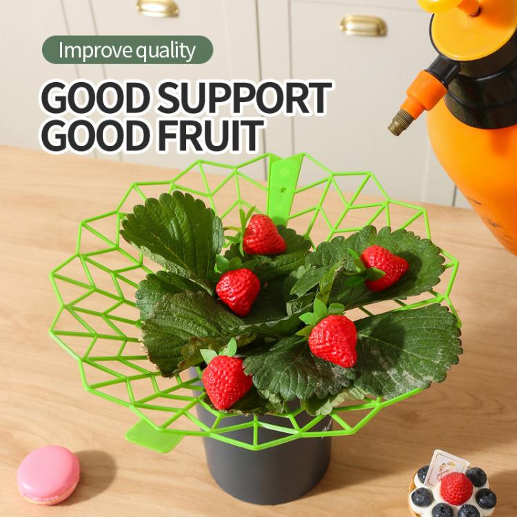 Strawberry Cultivation Anti-Rotting Planting Stand Plant Climbing Rack