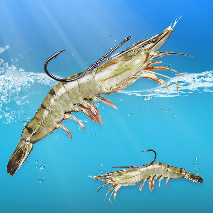 10pcs /Box Crooked Mouth Barbed Sea Fishing Hook Lure Fishing Hanging Shrimp Hook