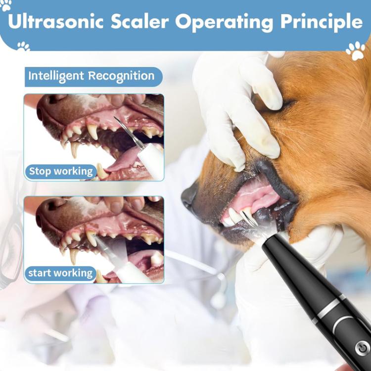 Pet Ultrasonic Teeth Cleaner Dog Tooth Brushing Kit Plaque Tartar Remover Dental Care Tool