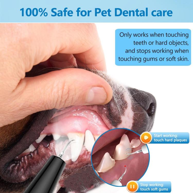 Pet Ultrasonic Teeth Cleaner Dog Tooth Brushing Kit Plaque Tartar Remover Dental Care Tool
