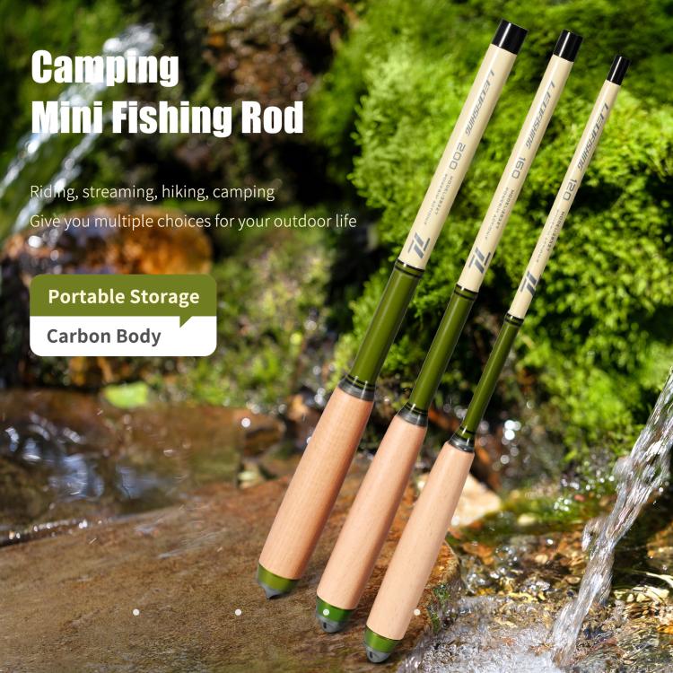 Wooden Handle Mini Tiny Object Rod Pocket Portable Small Fishing Rod