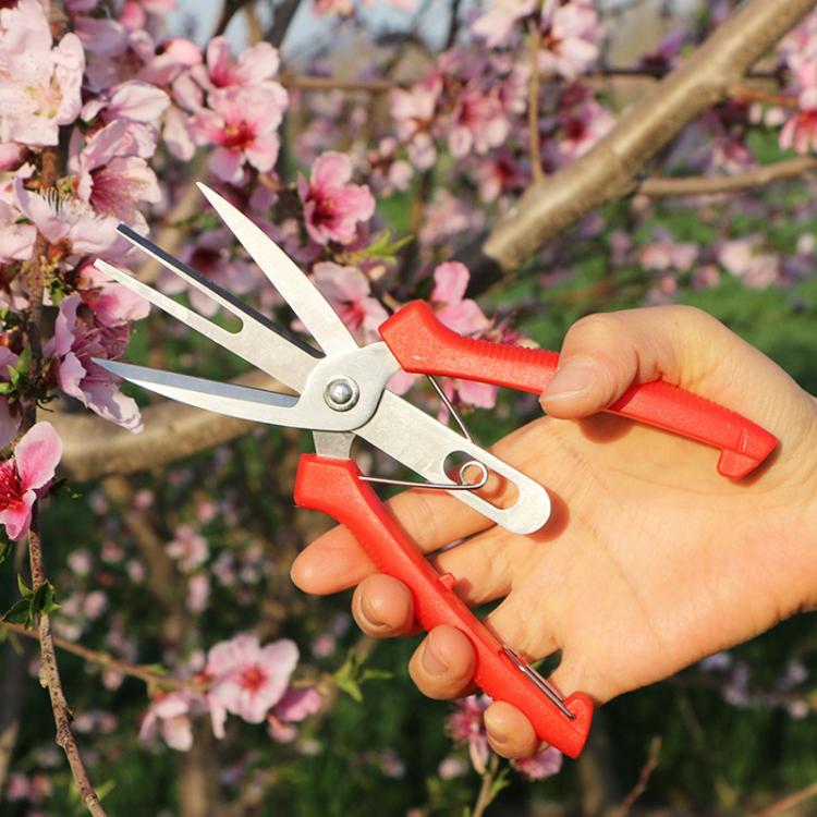 Agricultural Fruit And Flower Thinning Scissors Home Gardening Pruning Tools