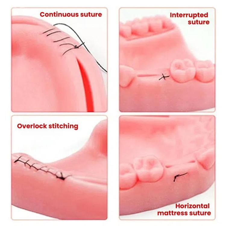 Gums Multiple Wounds Silicone Suture Practice Mold Four Teeth Oral Surgery Training Module For Medical Students