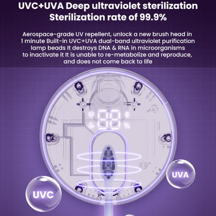 Toothbrush Disinfection Box Punch-Free Razor Rack