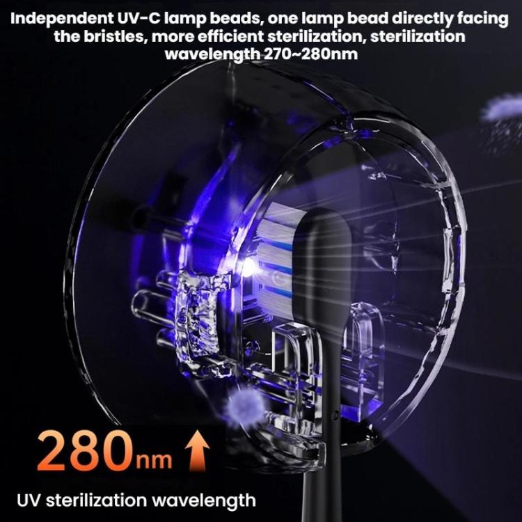 Smart Rechargeable Toothbrush UV Sterilizer and Storage Rack