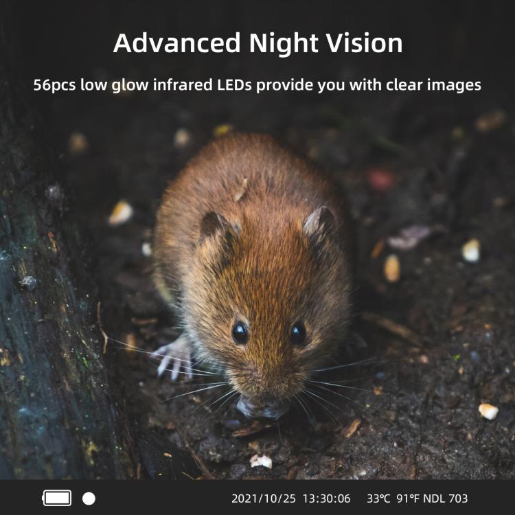 4K 120MP Infrared Hunting Camera Support APP Remote Mobile Viewing Photos / Videos