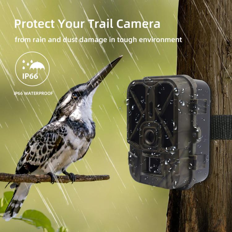 4K 120MP Infrared Hunting Camera Support APP Remote Mobile Viewing Photos / Videos
