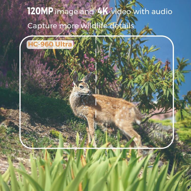 4K 4G Outdoor Tracking Camera With Remote Mobile Control, Supports FTP/SMTP/APP