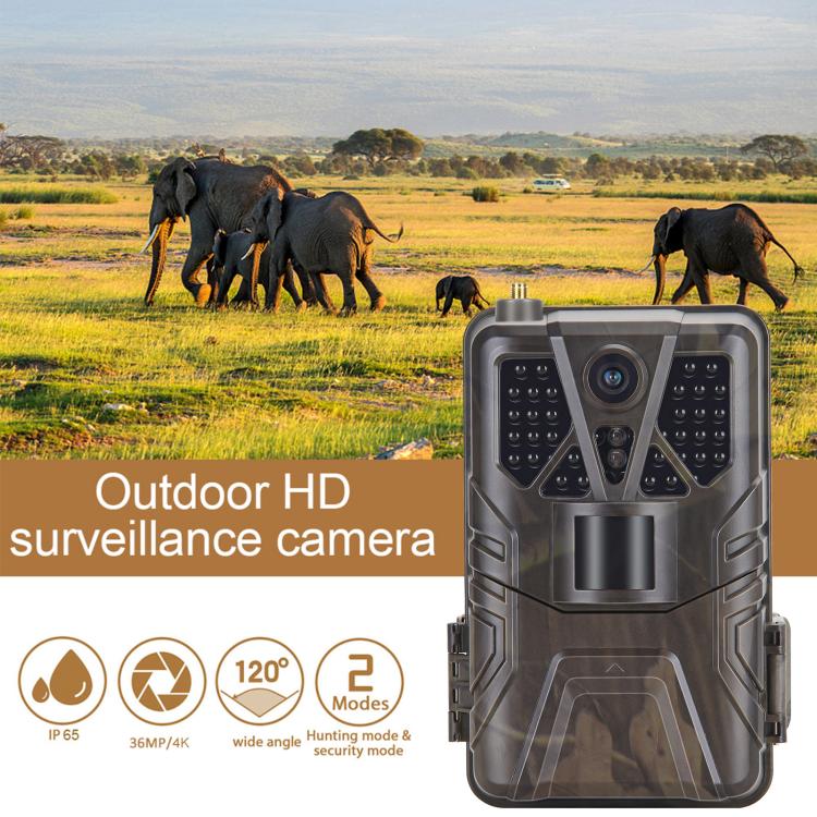 4K 4G Hunting Camera With APP Supports FTP / Email / LIVE VIDEO