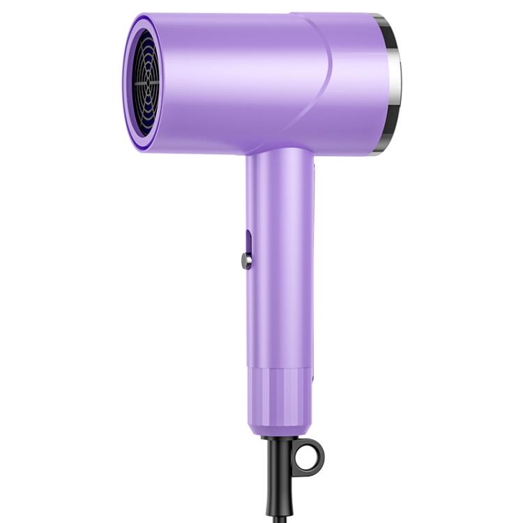 800W Negative Ion Hair Care High-Power Hair Dryer