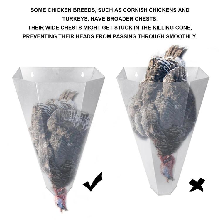 Heavy-duty Metal Poultry Cone for Chicken and Duck Restraint Funnels