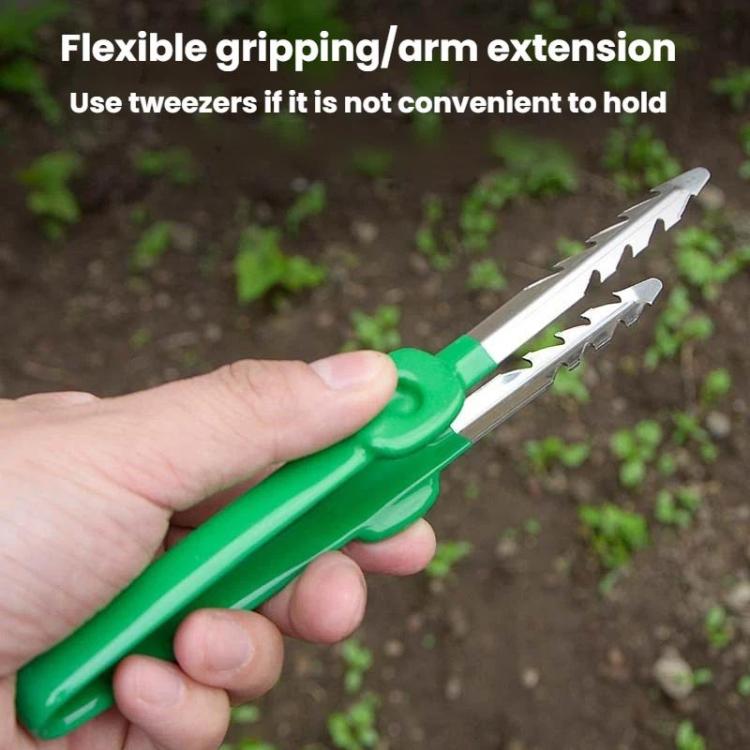 Gardening Succulent Tending Building Tools Tweezers Home Vegetable Garden Weeding Fetching Clip