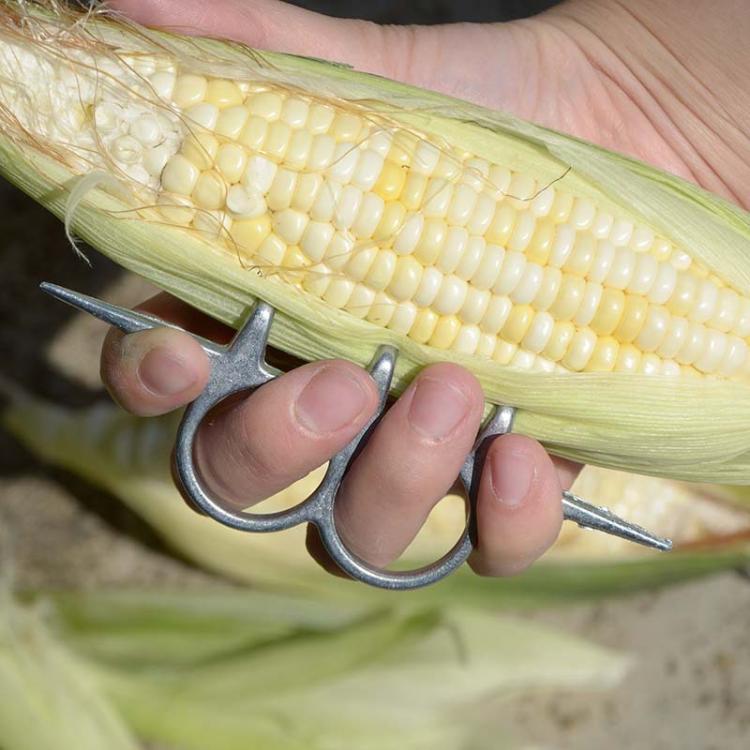 10pcs Aluminum Alloy Manual Corn Peeler