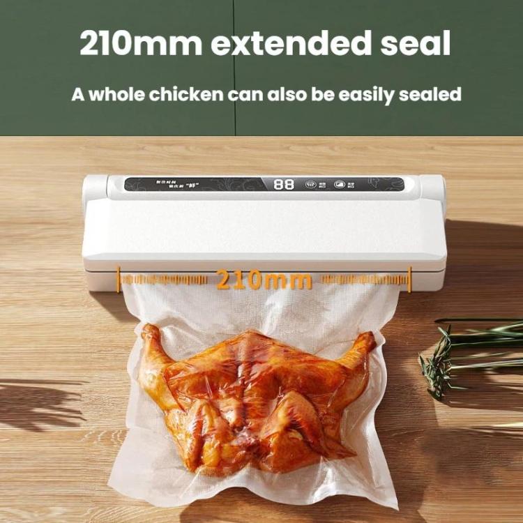 Fully Automatic Vacuum Packaging Machine Sealing Preservation Sealer