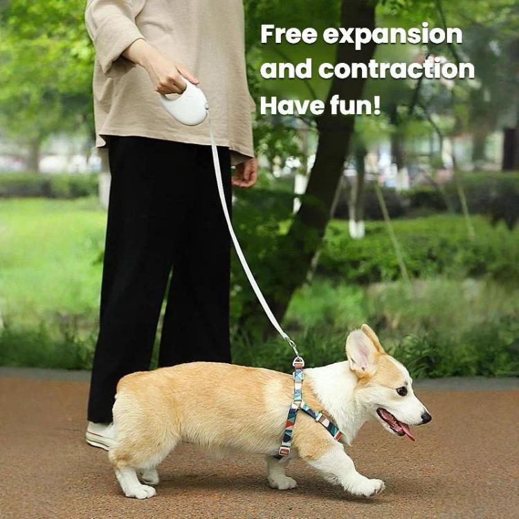 Retractable Dog Leash for Small & Medium Dogs No Tangle Walking Pet Lead