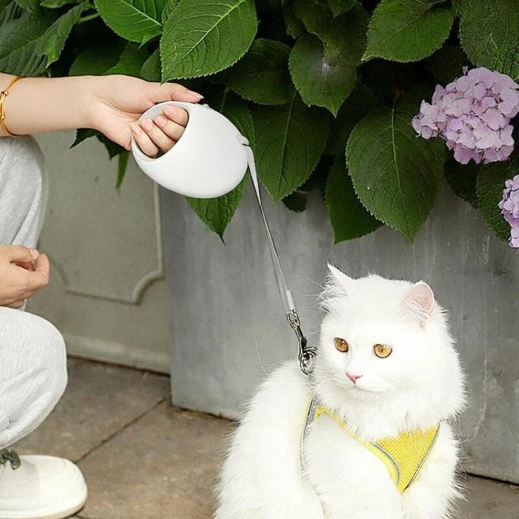 Retractable Dog Leash for Small & Medium Dogs No Tangle Walking Pet Lead