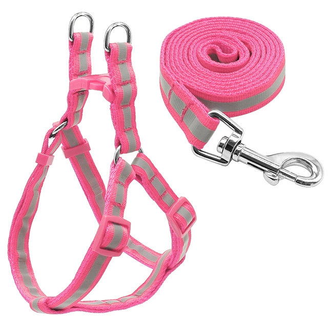 Small Medium Dogs Nylon Reflective Dog Leash Lead Set