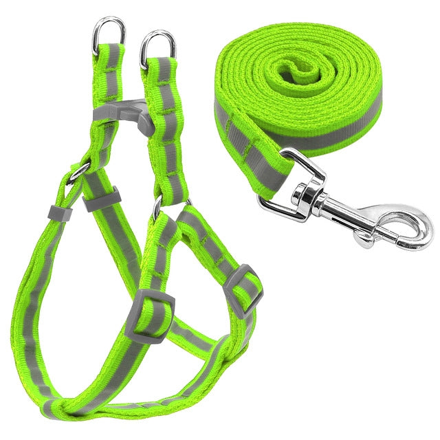 Small Medium Dogs Nylon Reflective Dog Leash Lead Set