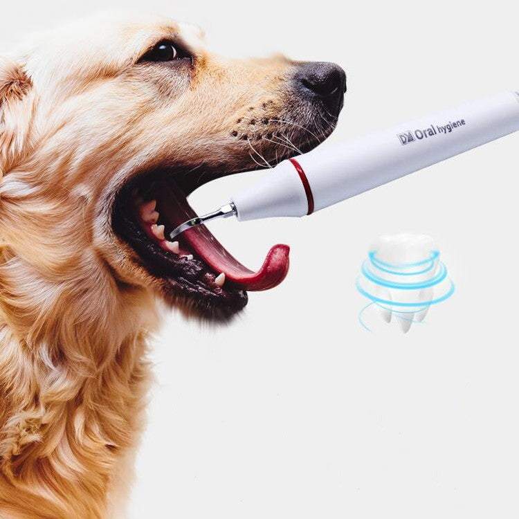 Ultrasonic Dental Washing Machine for Pet Dog Teeth Stone Remover