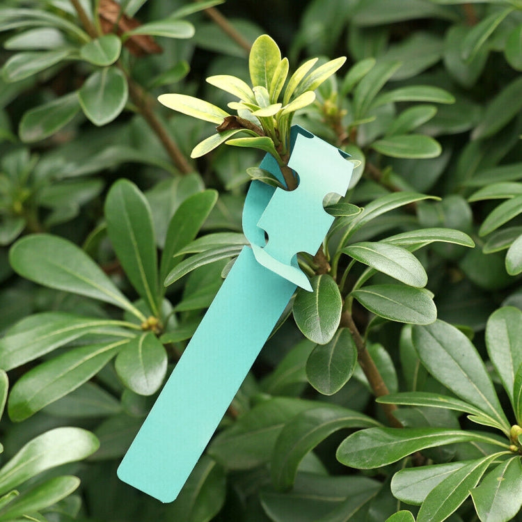 100 PCS Gardening Plant Sapling Seed Hanging Tree Label