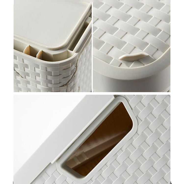 Collapsible Finishing Dormitory Wardrobe Plastic Storage Box with Cover Lip