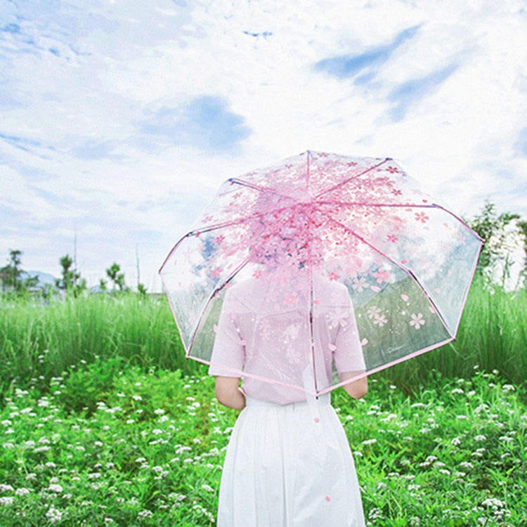Cherry Blossom Transparent Triple-fold Umbrella Individual Folding Umbrella