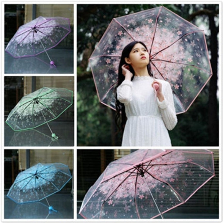 Cherry Blossom Transparent Triple-fold Umbrella Individual Folding Umbrella
