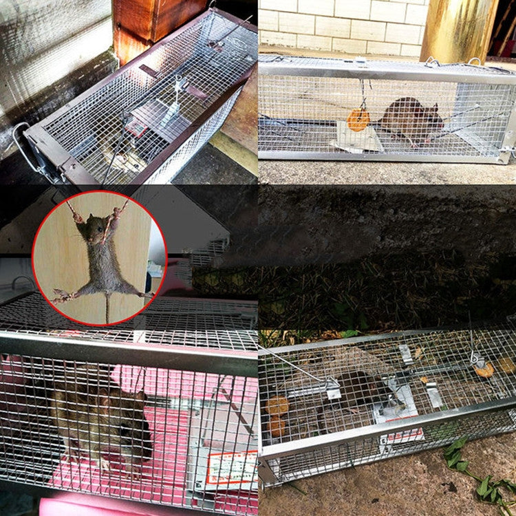 Household Mouse Cage Mousetrap with Double Door
