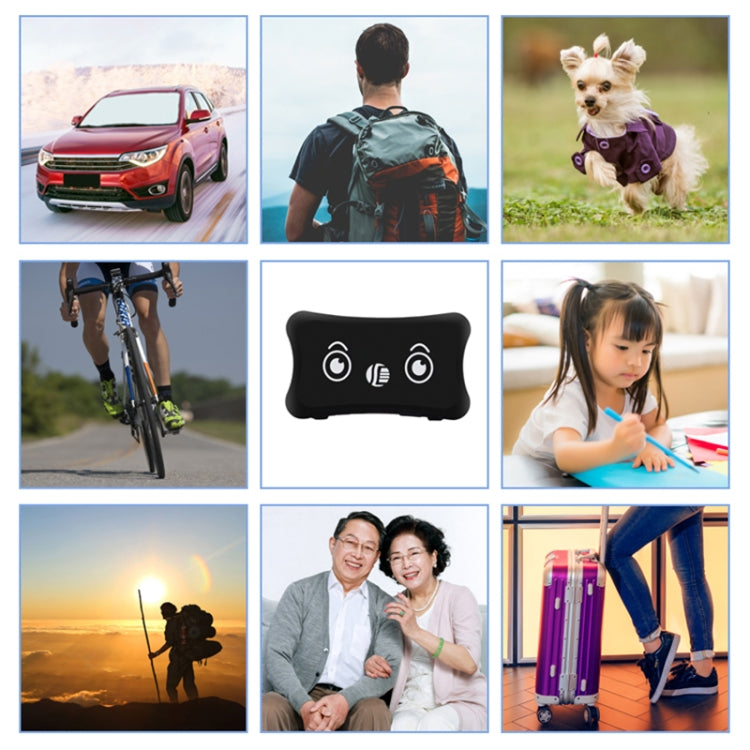 TK200 2G IP67 Waterproof GPS / GPRS / GSM Personal / Goods /  Pet / Bag Locator Pet Collar Real-time Tracking Device